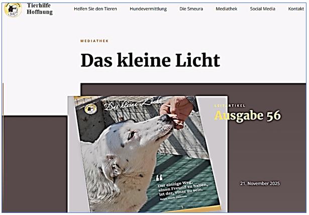 Das kleine Licht Ausgabe 56