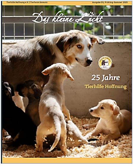 Das kleine Licht