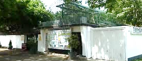 Tierheim Köln Zollstock