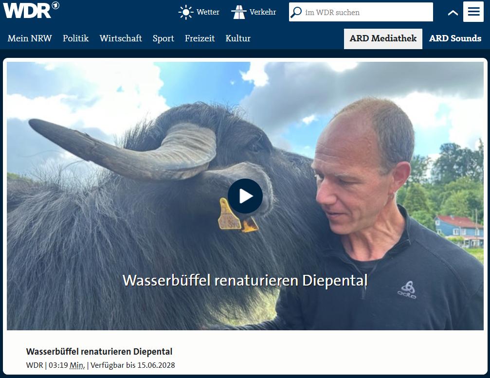 Wasserbüffel