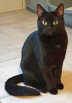 Luna