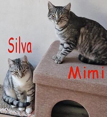 Mimi und Silvia