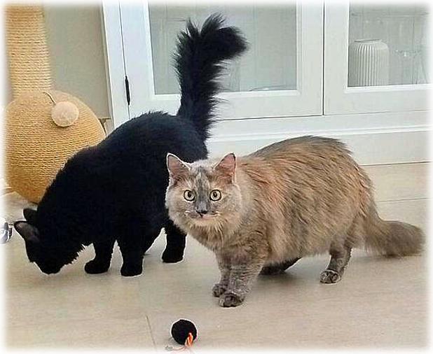 Fabiola und Freya 11