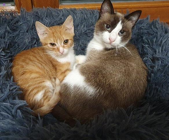 Ziehmutter Indira und Waisenkind Ilona