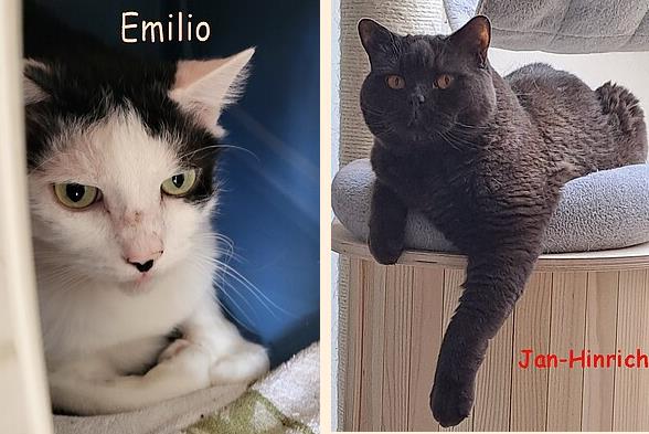 Emilio und Jan Hinrich