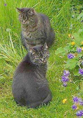 Sory und Kennedy